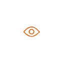 Visi